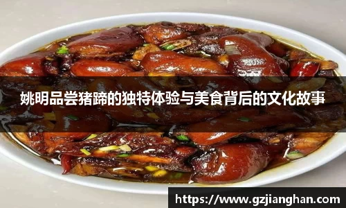 多多28官网